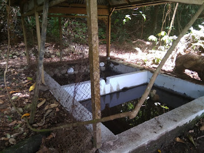 pemandian tapan trenggalek, PESONA TAPAN YANG TERLUPAKAN