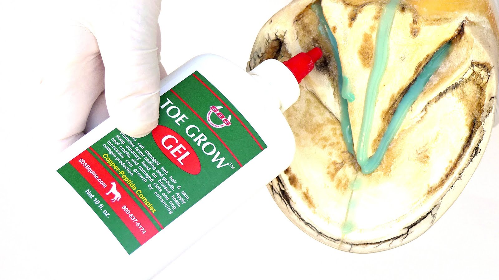 Natural hoof care Horse Horse Choices