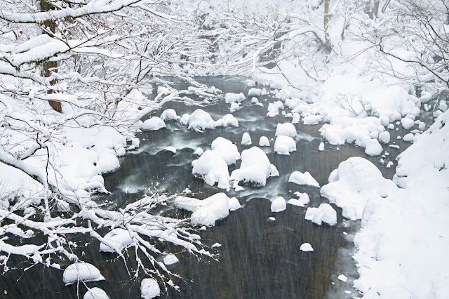 #photo #landscape #sigma #foveon #sdquattroh #japan #yamagata #tsuruoka #写真 #風景写真 #山形帝國 #山形県 #鶴岡市