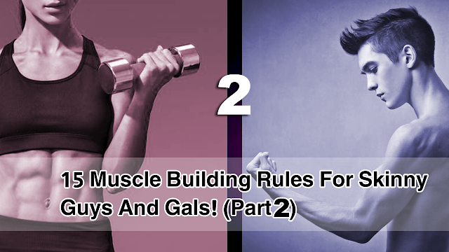 build muscle, gain weight, how to gain muscle, mass, weight gain program, workout routine