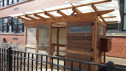 chicken chickens coop local chicago estate