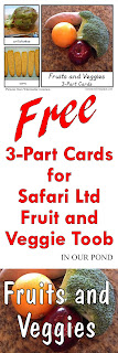 FREE 3-Part Cards for Safari Ltd Fruits and Veggies Toob