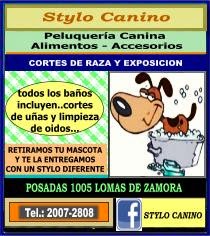 Stylo Canino