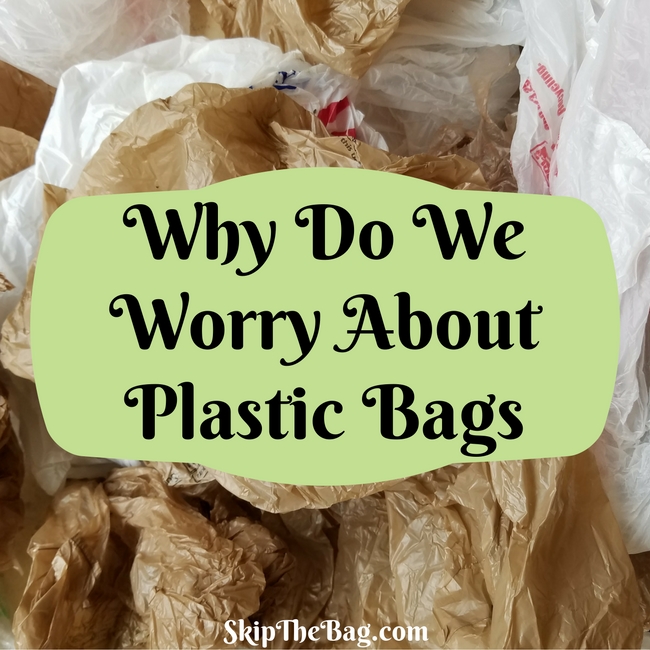 Skip The Bag Why do we worry about plastic bags?
