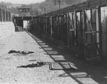 Dachau KZ: MAUTHAUSEN PART 5