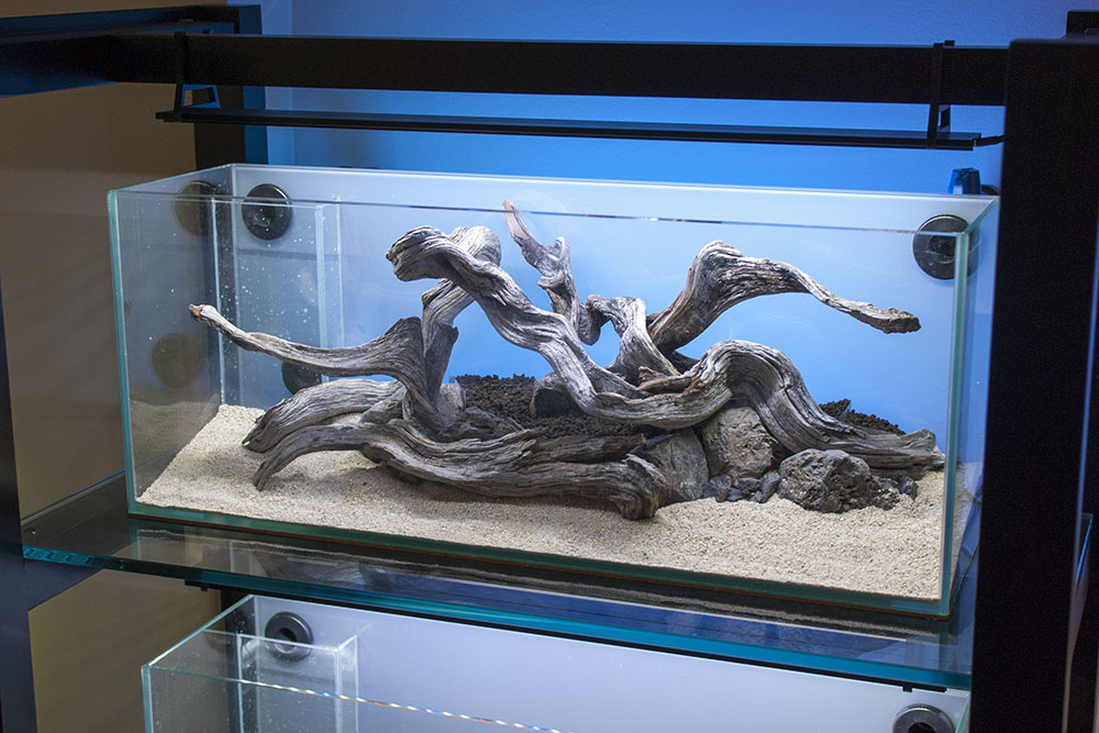 Bookshelf of Aquariums III Lighting & Finishing Touches Everything Bends