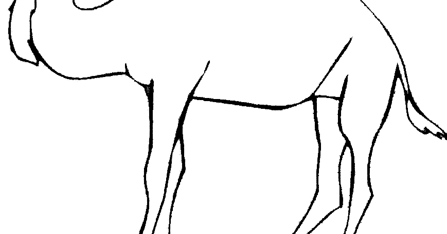 mewarnai buah binatang unta