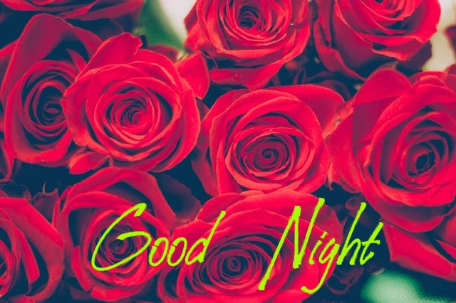 Good Night HD Image Collection Good Night HD Image Collection
