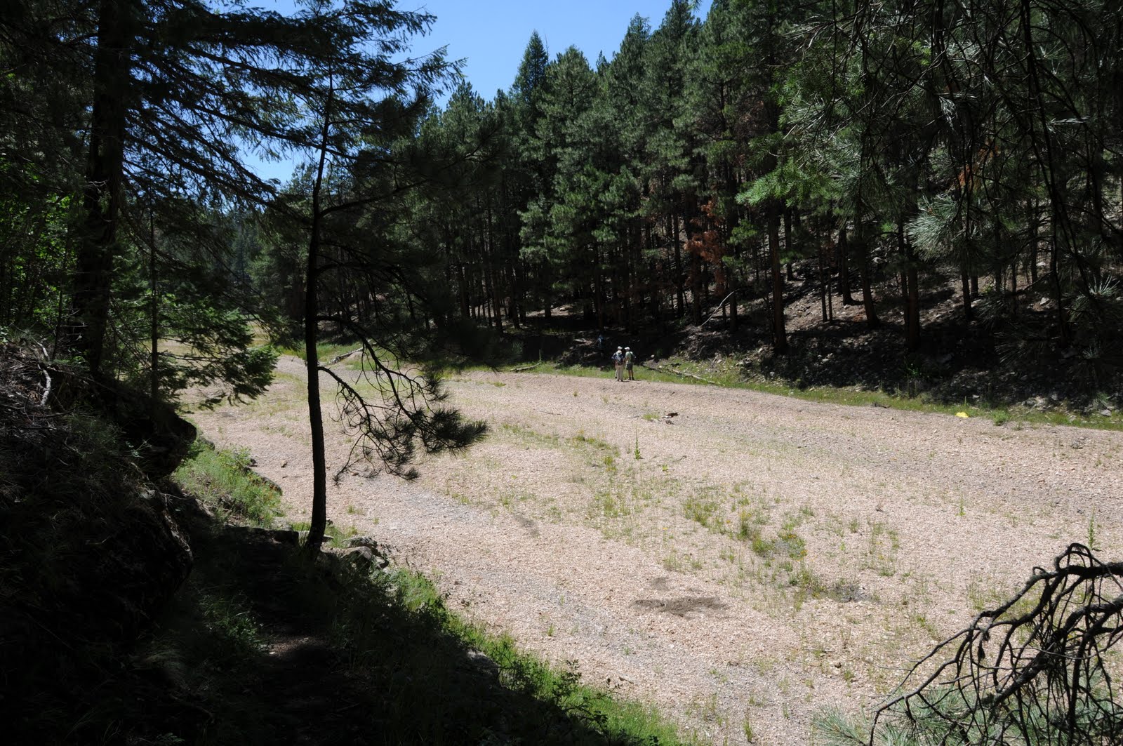 Arizona Hiking: BLUE RIDGE PASSAGE 28, ARIZONA TRAIL