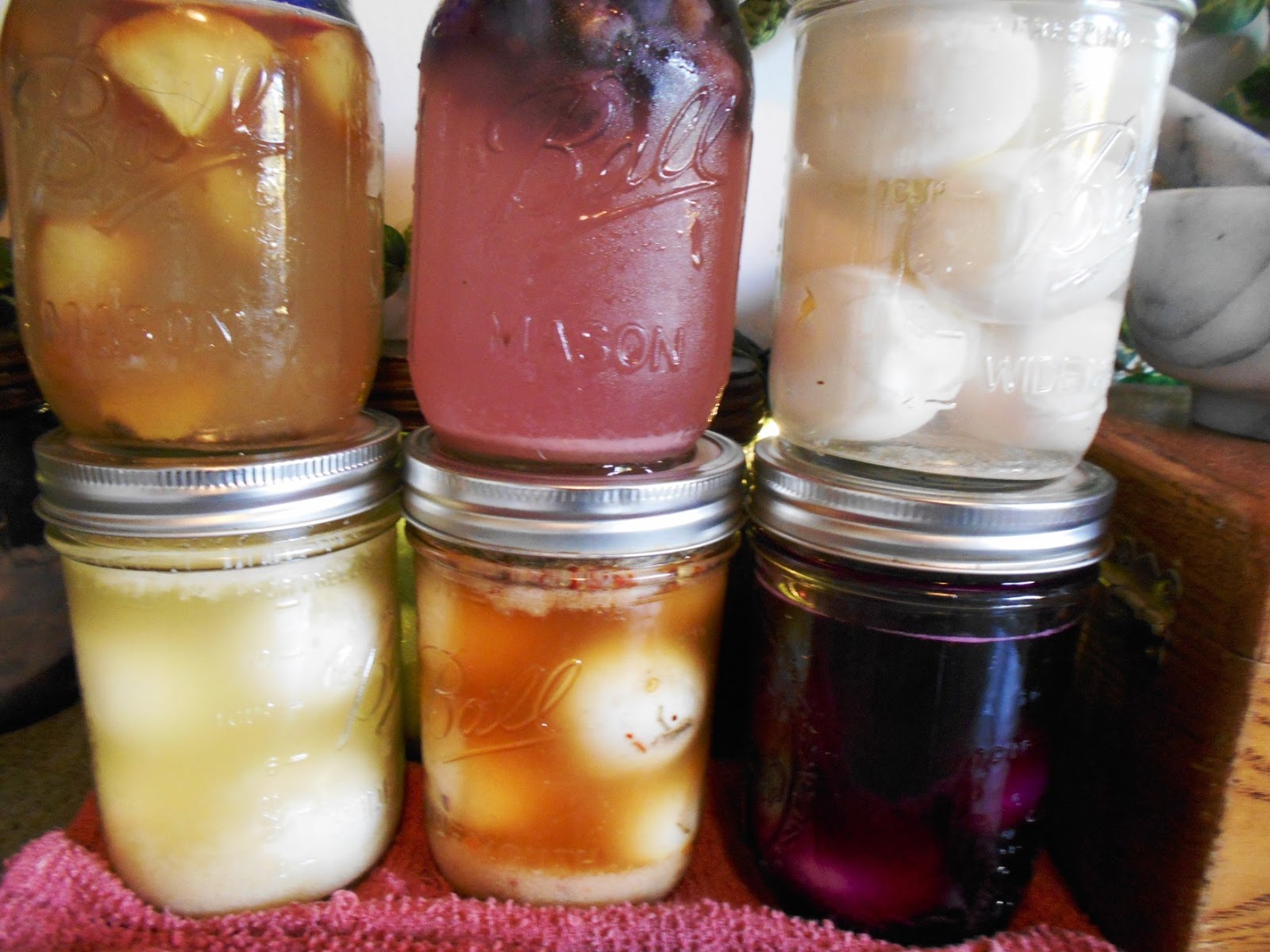 Lacto Fermented Eggs