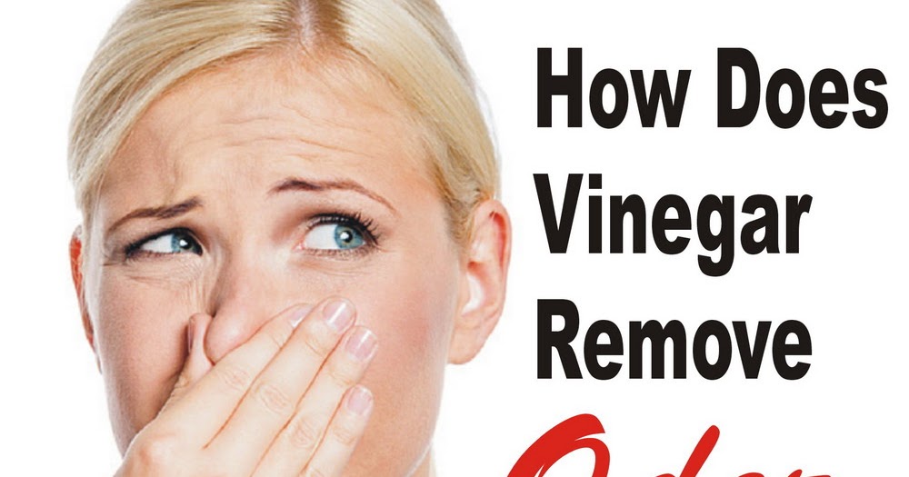 How to Remove Any Odor From Your House AG Home Remedies