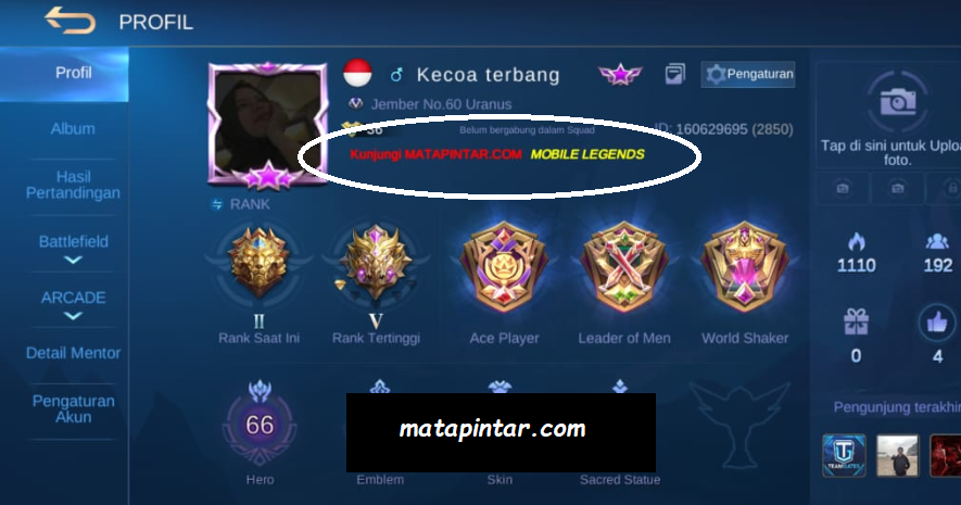 Cara Merubah Warna Tulisan Nickname Dan Status Di Mobile Legends Terbaru 2021 Mata Pintar