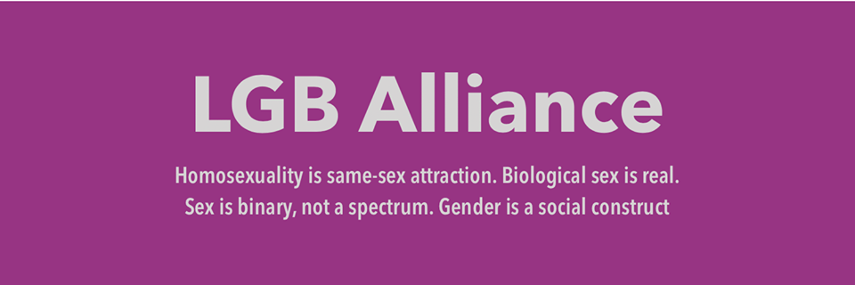 Howie S Corner Human Rights Day Defend Free Speech