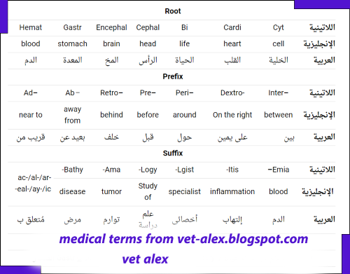 قاموس الطب ،  شرح المصطلحات الطبية الاساسية Terminology and English
