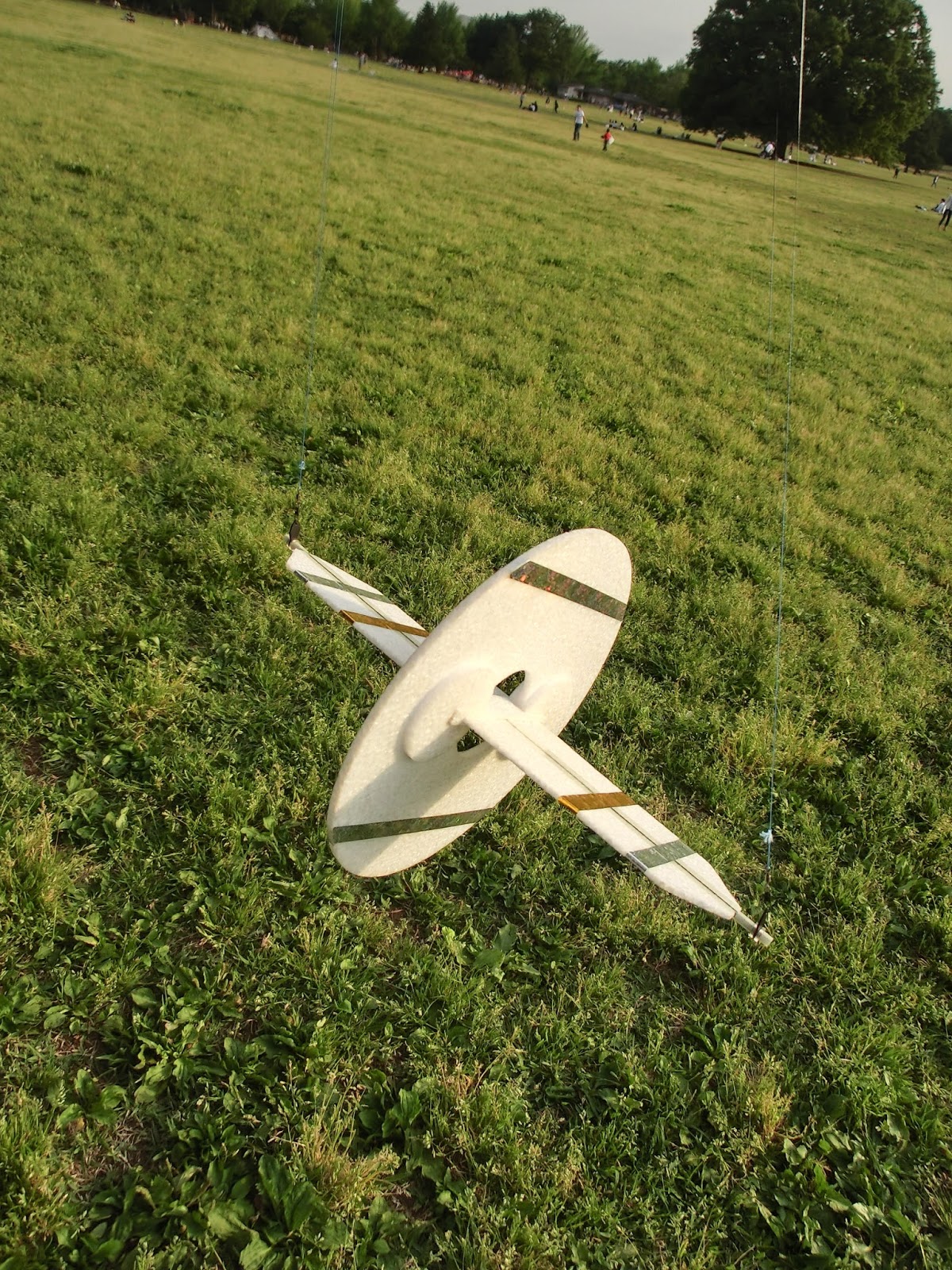 Rotor kite Rotor Kite097