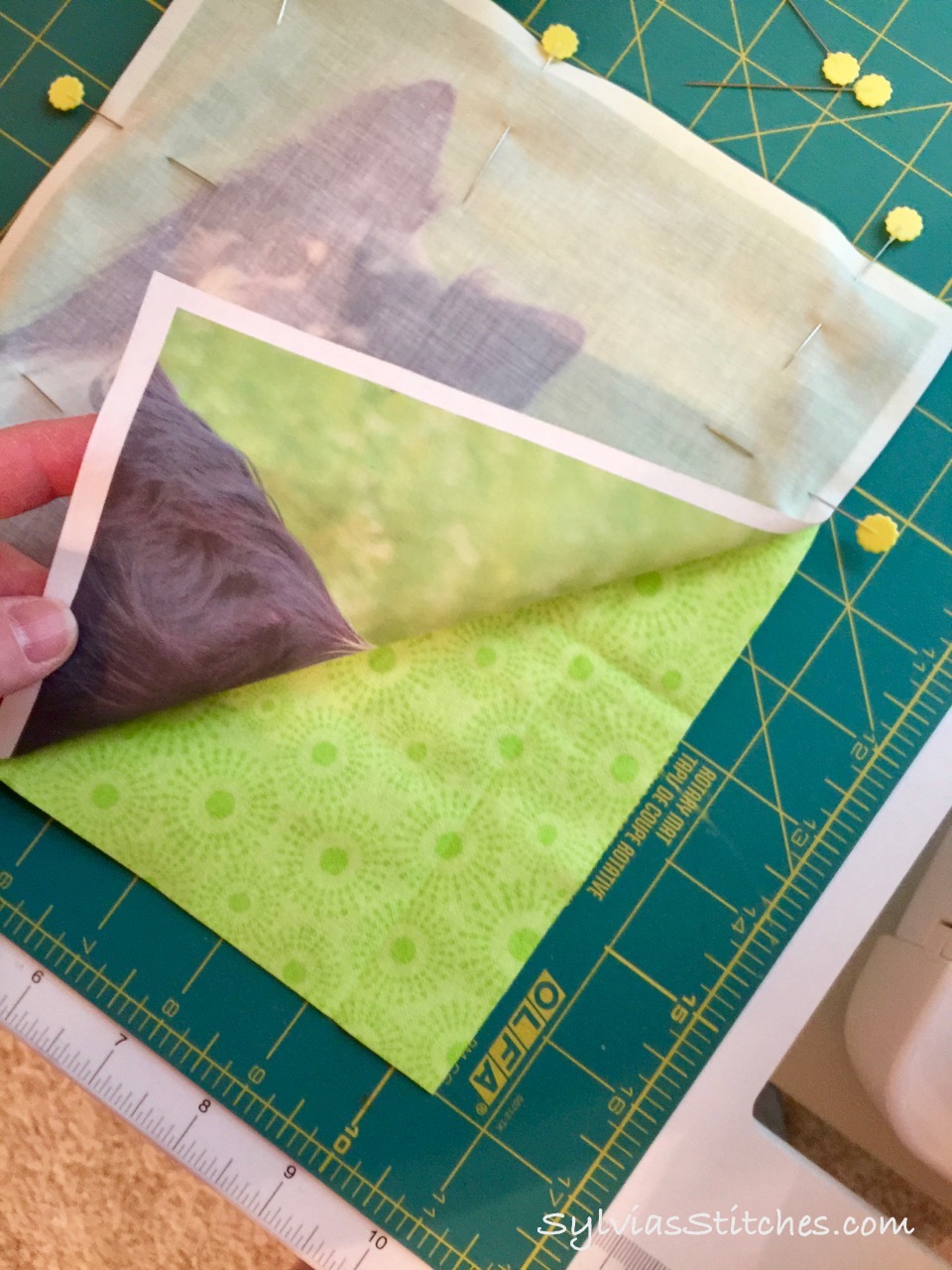 Pet Pillow made by my Daughter. ) Sylvia's Stitches