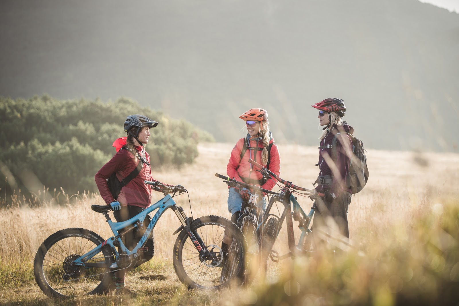 Diplomarbeit Reaktivierung Der Ruine Unter Falkenstein Von Der Burg Zum Tagungshotel