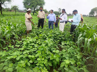 jhabua news