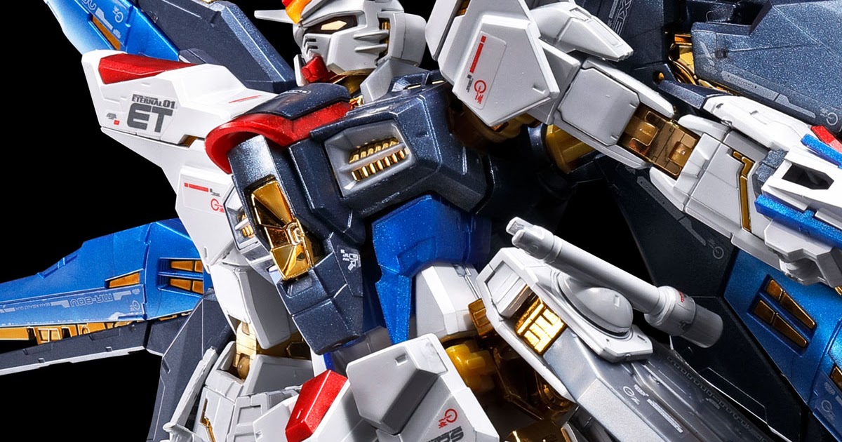 Effect P-BANDAI RG 1/144 Strike Freedom Expansion Parts WINGS OF THE SKY