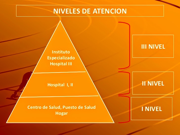 Salud Pública 1110 Componentes del Sistema de salud en México Salud Pública 1110 Componentes del Sistema de salud en México