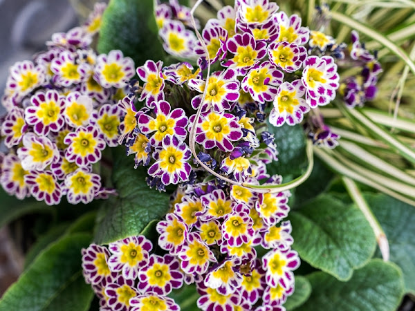 Im Westen Muss Was Neues Hin Eine Zeitreise Allegrias Landhaus