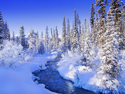 snow wallpapers backgrounds background desktop winter tag sneeuw mooie achtergronden