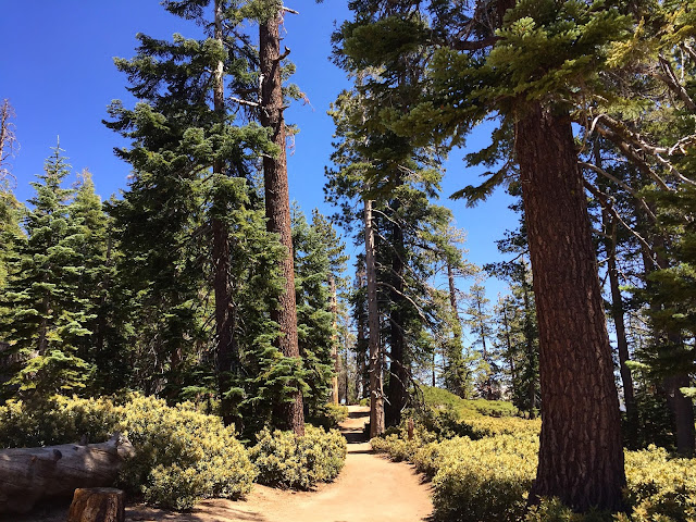 Sentinel Dome trail