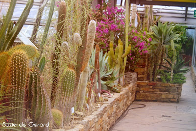 Botanischer Garten Teil 3