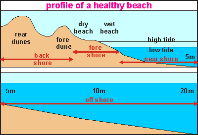 Rukshan Maliq's Blog: Sand Mining and Storm Damage
