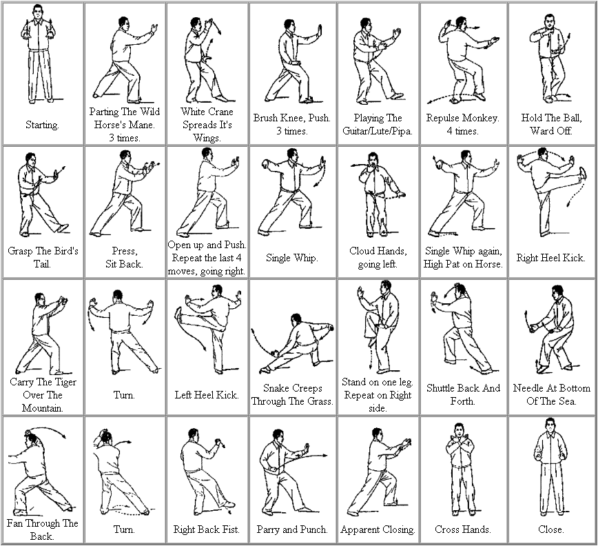 Tai Chi Chart Of Movements