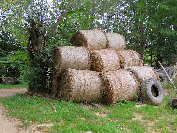 Stawiska Stawiska