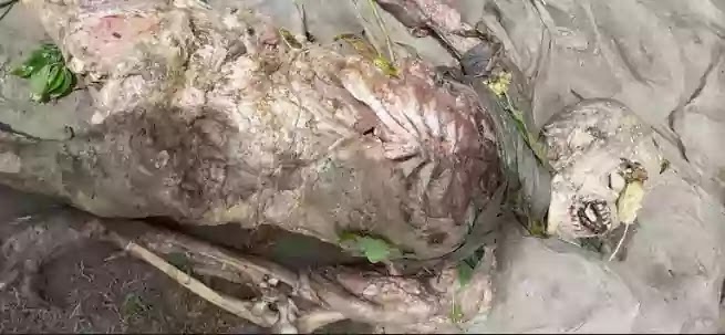 Unidentified body recovered in Dewanganj