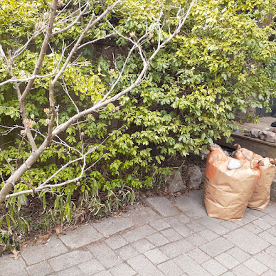 Mount Pleasant East Toronto Garden Renovation Before by Paul Jung Gardening Services--a Small Toronto Gardening Company