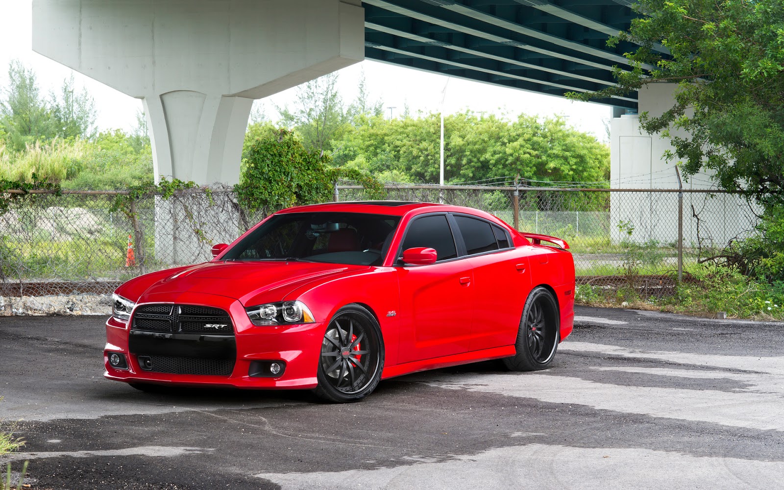 Auto Galeria: Dodge charger srt8 tuning