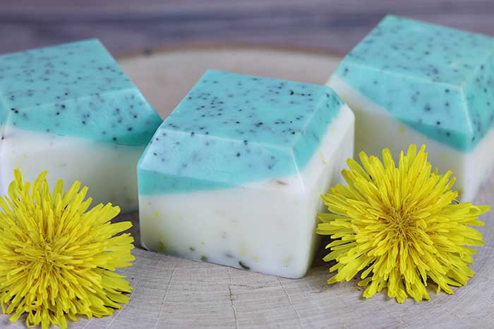Recipe how to make dandelion soap with dandelion infused oil. This easy DIY soap tutorial uses melt and pour soap base. You get the benefits of dandelion oil plus recipes essential oils. Gets ideas inspiration for a handmade soap for dry skin. Recipes glycerin soap and recipes easy for a homemade bar of soap for hands or body. This exfoliates naturally with poppy seeds.  #soap #dandelion #meltandpour