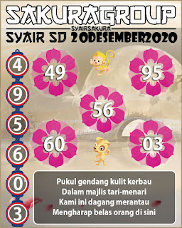 syair sydney sakura