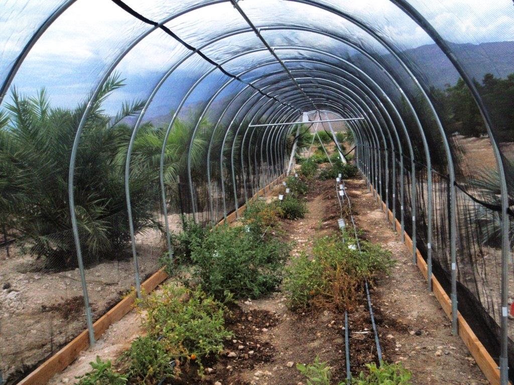 Xtremehorticulture of the Desert Garden Placement is Very Important in