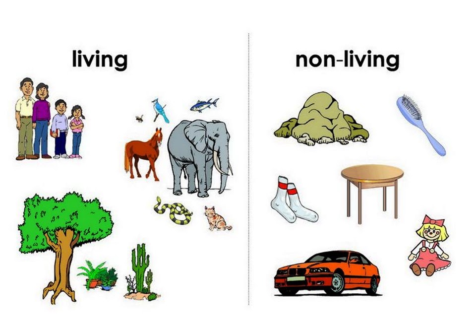 SONU ACADEMY WEB OF LIFE TEXT