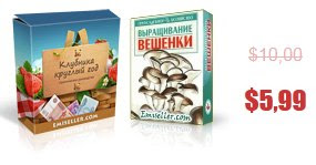 фото Выращивание клубники на дому - это обман