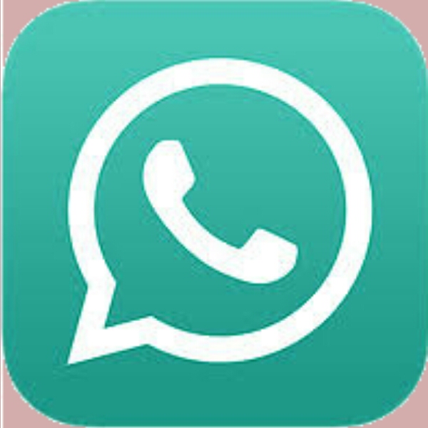 download gb whatsapp business apk
