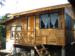 bamboo modern houses interior designs down exterior roof nipa durable typhoons roofing adapted easily break could take