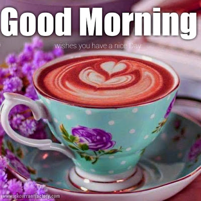 Beautiful Good Morning Coffee Images, Pics With Love Free Download Good Morning Coffee Images, Good Morning Coffee Pic, Good Morning Images Of coffee, Good Morning Images Coffee, Good Morning coffee Love, Good Morning Images With Hot Coffee Free Download
