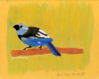 Blue Bird - oil pastel on pastel paper