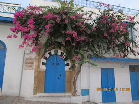 قرية سيدي بوسعيد، تونس.