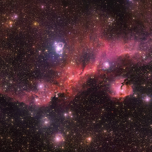 Emission Nebula Sh 2-296: the Seagull Nebula