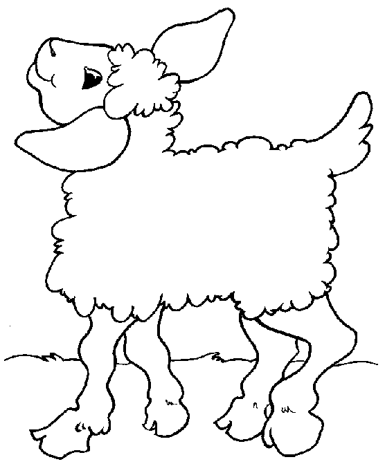Coloring Pages Baby Lamb Sheep Free Download Related Posts Jumping