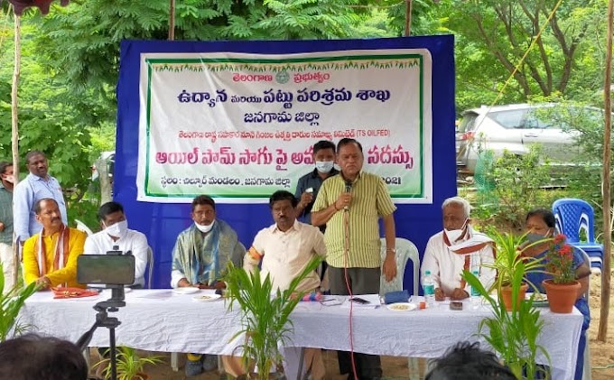 జనగామ జిల్లాలో ఆయిల్ పామ్ సాగుపై రైతుల ఆసక్తి 