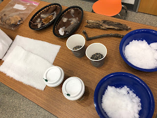 table with cups of hot cocoa, pea gravel, artificial snow, baskets with furry fabric and feathers, tree branches, bag of leaves, white furry fabric