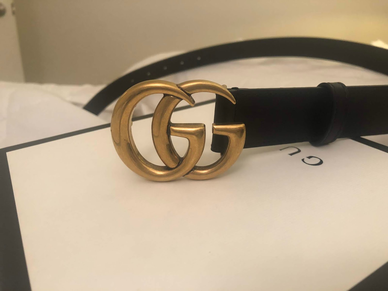 gucci belt authenticity card