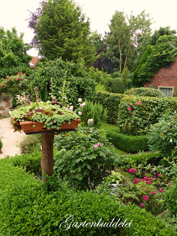 Gartenbuddelei: Über den Gartenzaun geschaut. Teil 3